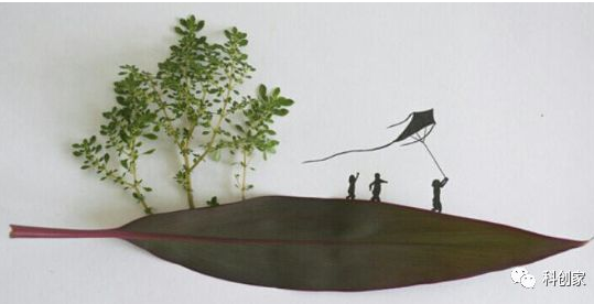 1762333846345784.png 6e9603a72f0a1181e0dea111c7d804eb.png