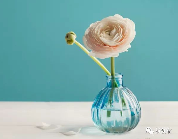 1765873327169103.png 31fc65ee73f0048f299c392afe139b5f.png