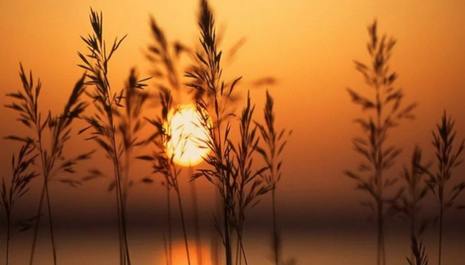 哈佛大学研究：一个人成为废物的九大根源